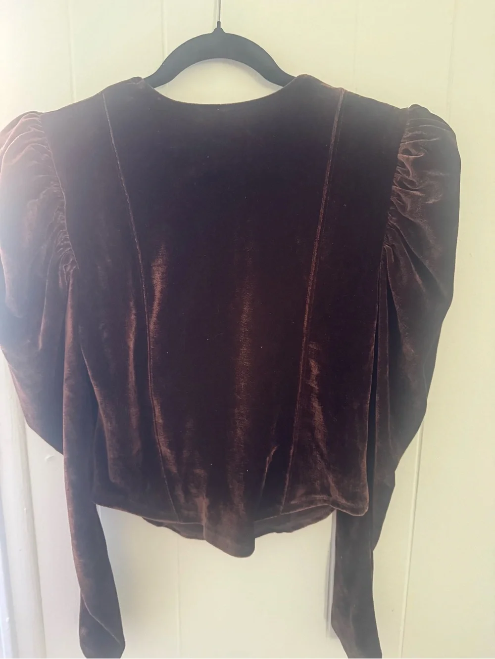 Free People Velvet Puff-Sleeve Square Neck Top in Brown